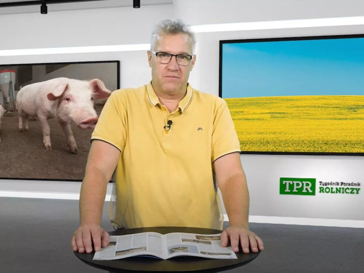 Wojna się skończy, inwestycje ruszą. A polskie mleko? Tu nie ma złudzeń