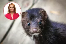 Zakaz hodowli zwierząt na futra