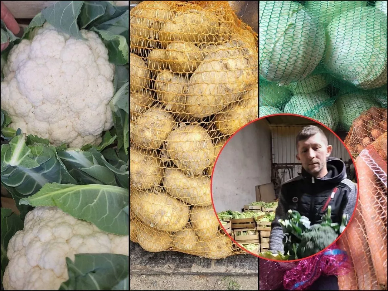 warzywa polskie, twarz rolnika