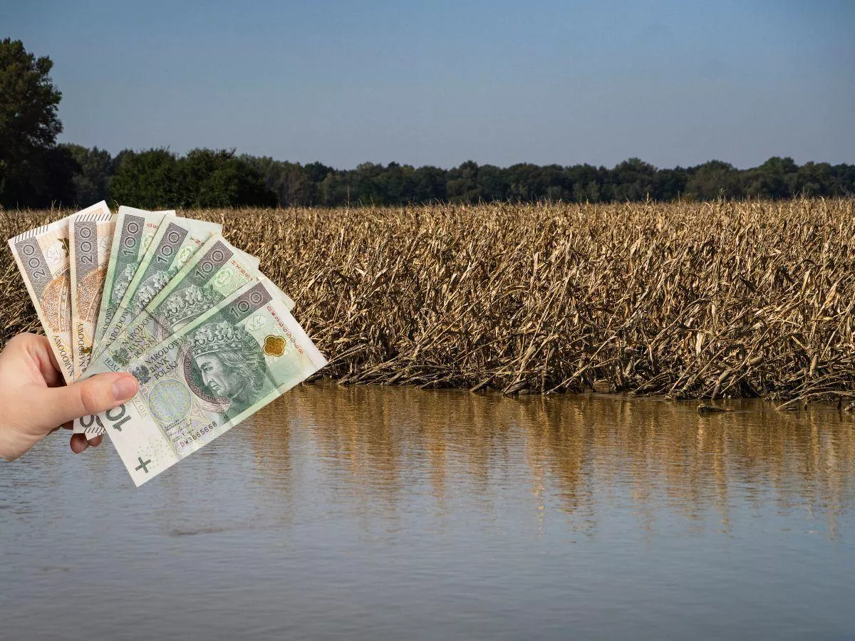 Zwrot podatku rolnego: ruszył nabór wniosków w ARiMR [Instrukcja]