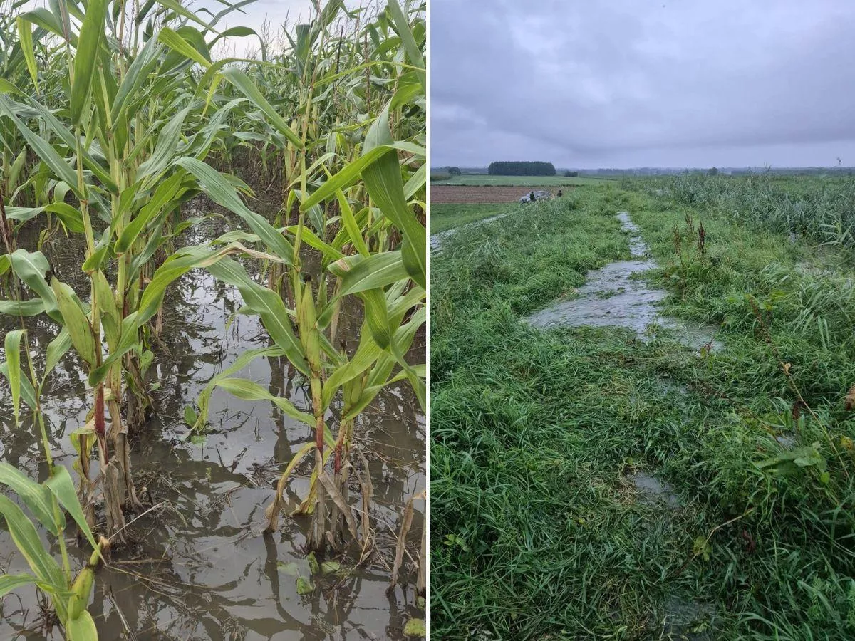 3000 zł do hektara. Będzie drugi nabór wniosków dla rolników z Żuław