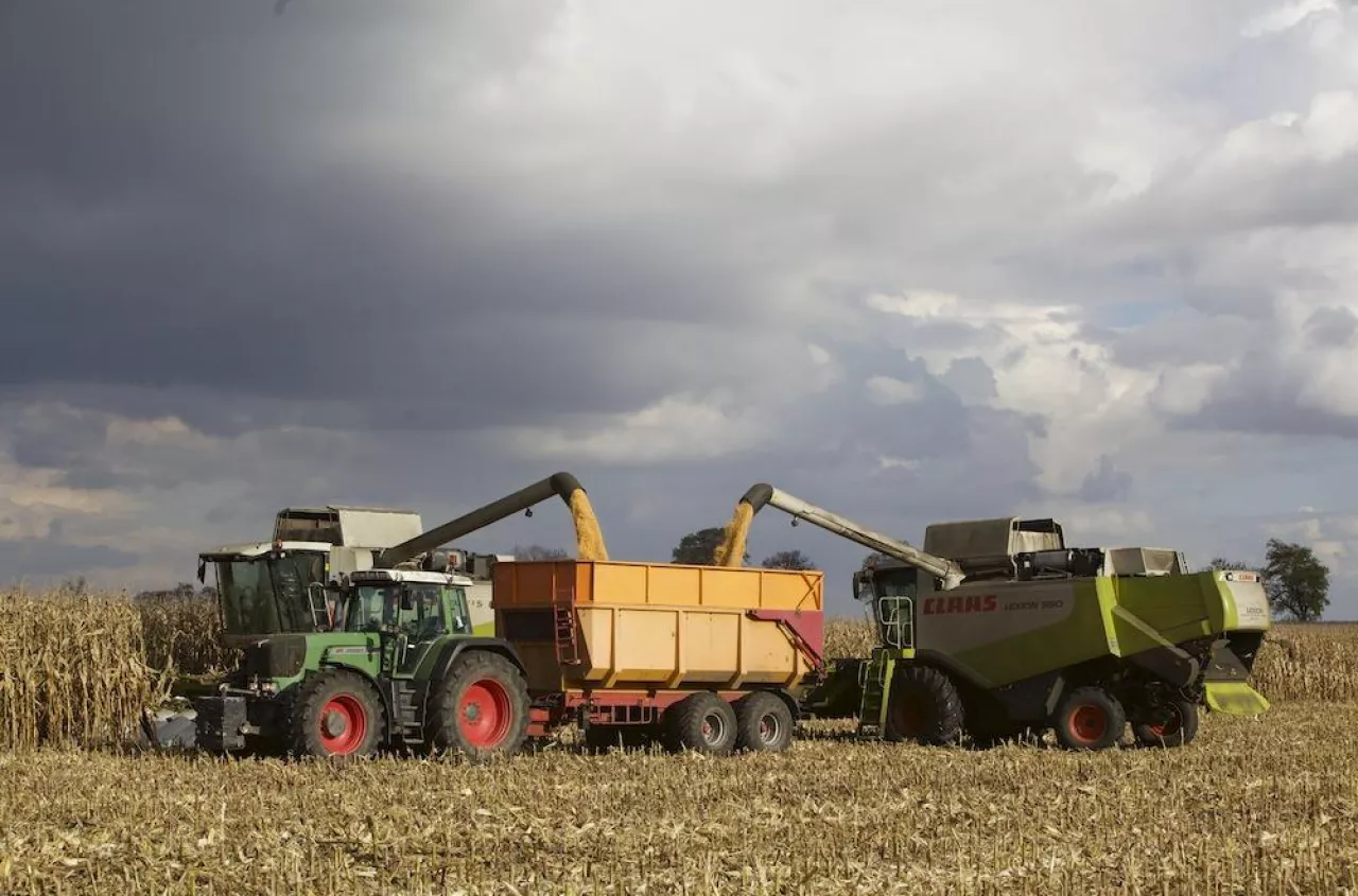 Rolnicy wreszcie dostaną uczciwe ceny? Posłowie przyjęli nowe przepisy
