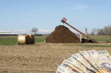  Jaka kara dla rolnika za brak płyty obornikowej?