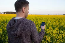 mężczyzna stojący tyłem, trzyma w dłoni telefon, stoi na polu z kwitnącym rzepakiem
