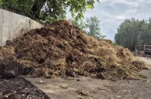 obornik, płyta obornikowa