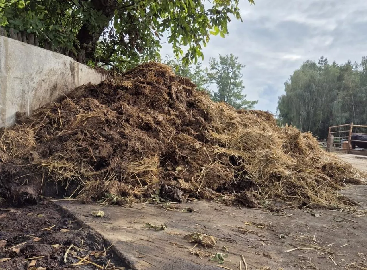 obornik, płyta obornikowa