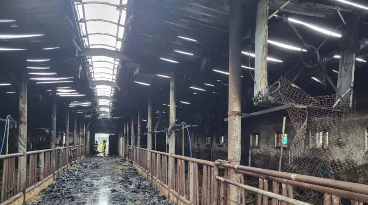 Wnętrze obory ukazujące skutki pożaru, jaki miał tam miejsce