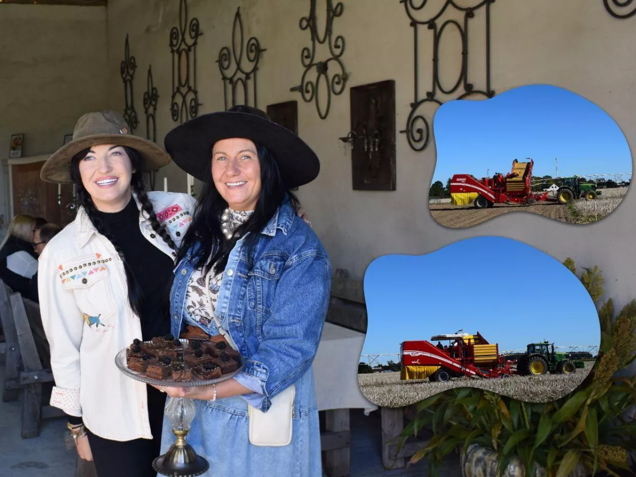 Królowa ziemniaka z Mazur. Jak na najsłabszych glebach osiąga 50 t/ha?