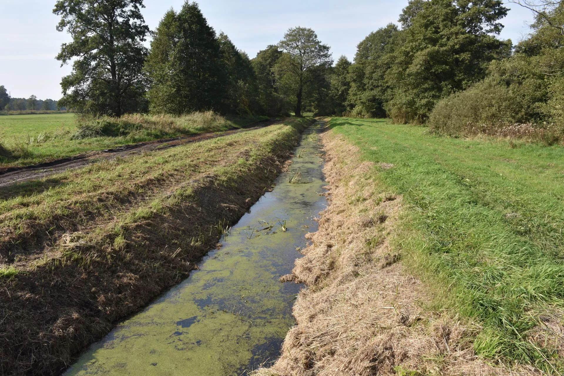 Rolnik kupił ziemię, spółka wodna chce opłat. Czy musi płacić?