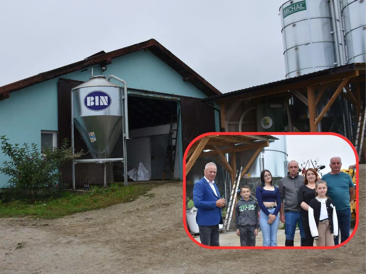 Produkują mleko bez kukurydzy. Rolnicy z Podkarpacia pokazują, iż się da