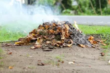 Nawet 5 tys. zł kary za porządki w ogrodzie