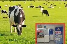 OSM Olecko ma problemy