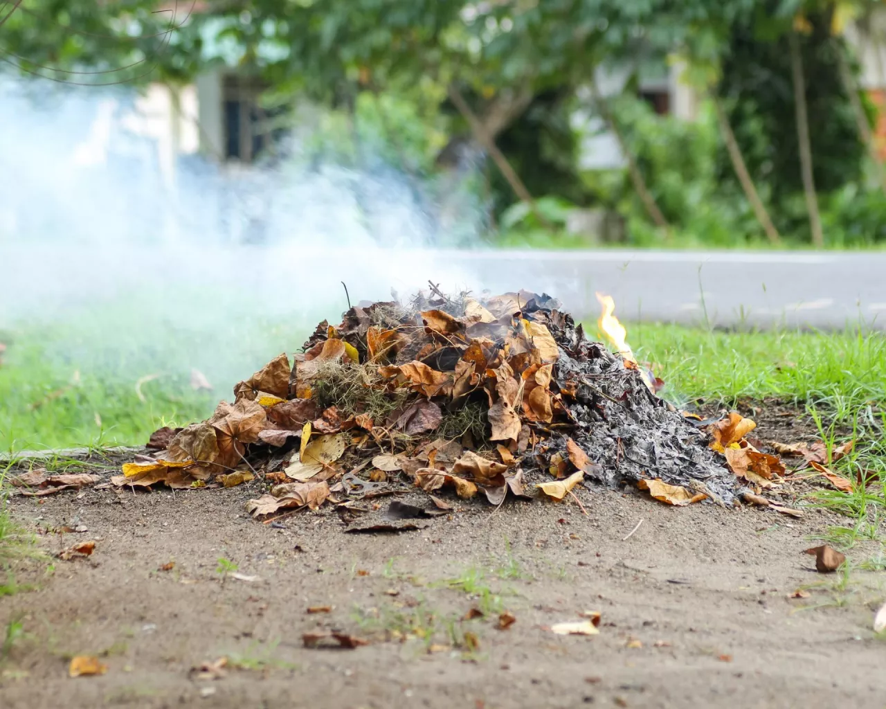 Nawet 5 tys. zł kary za porządki w ogrodzie