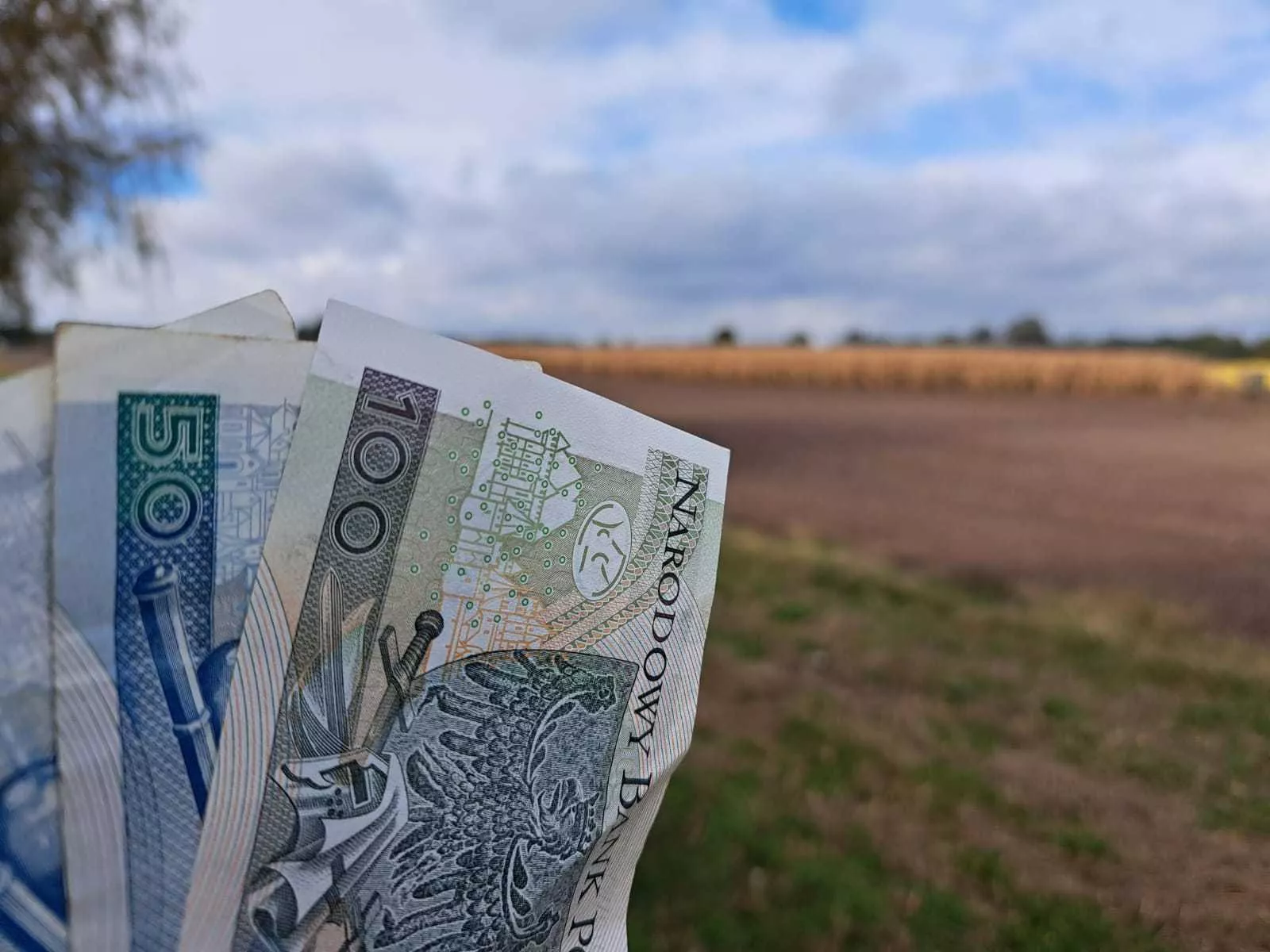 Rolnicy zaskoczeni. Jeden brakujący papier może zablokować wypłatę