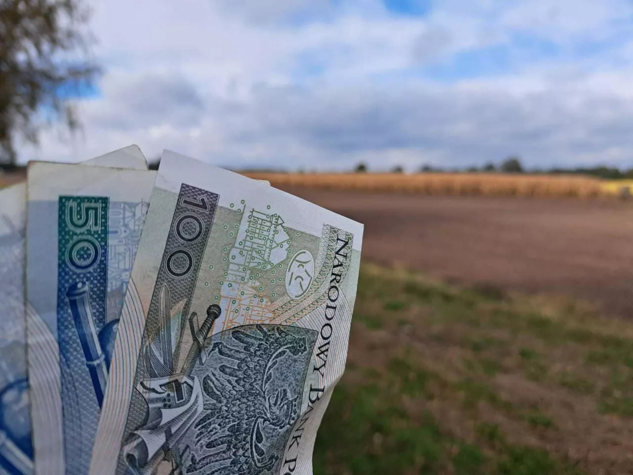 pieniądze i pole