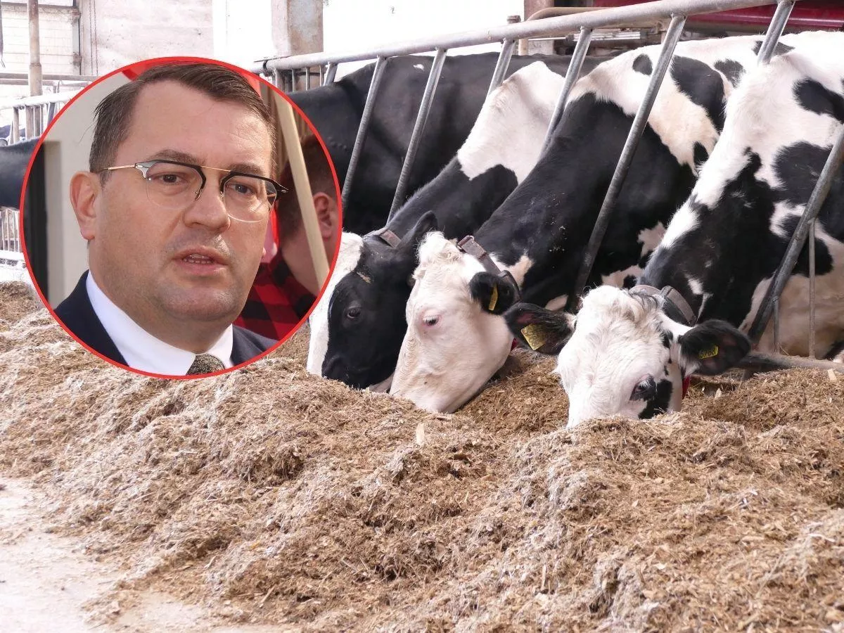 Premia dla młodych rolników wzrośnie. Kto dostanie więcej pieniędzy?