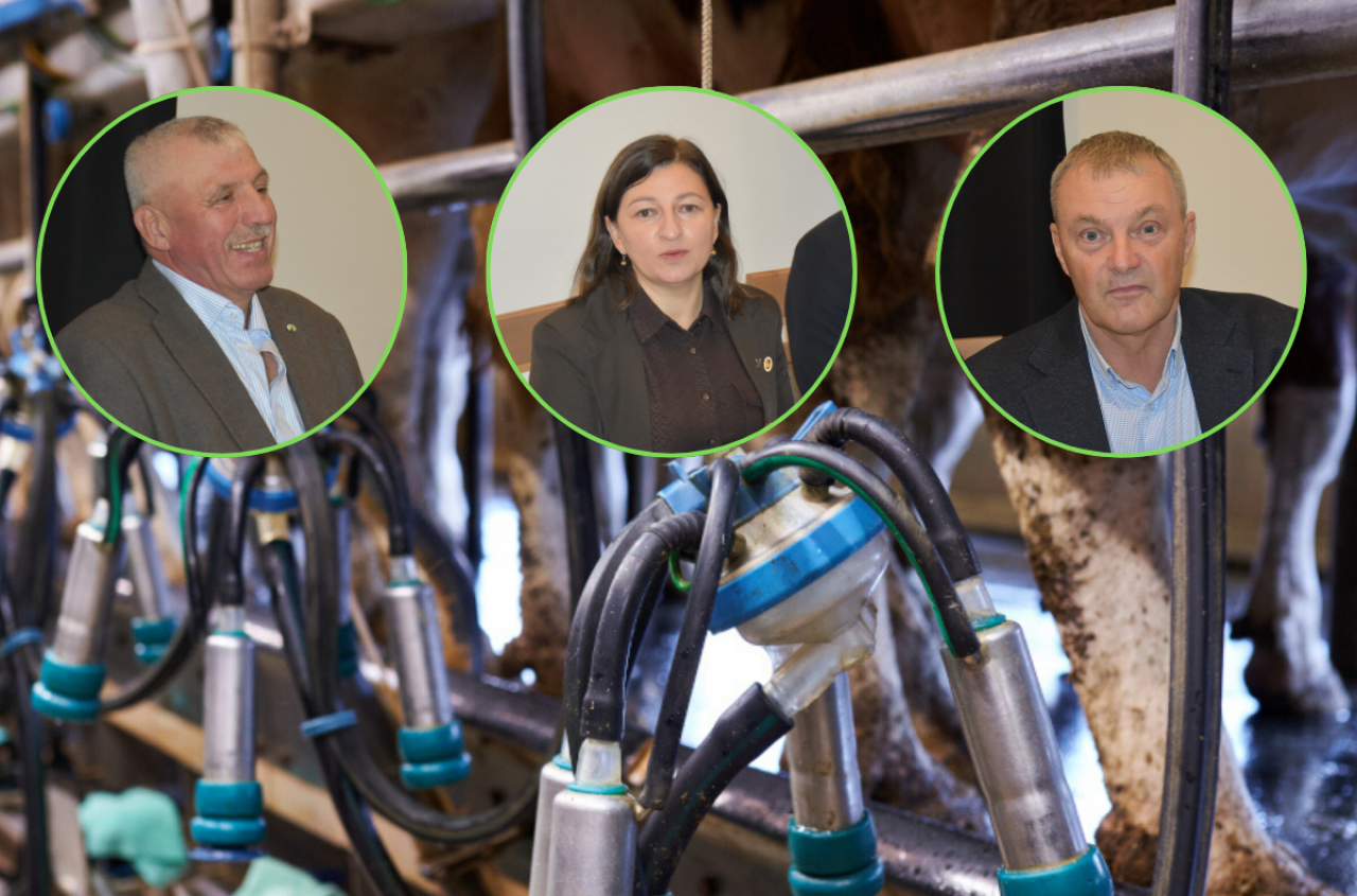 Rolnicy wybierają tańszą ocenę mleczną i zyskują dopłaty. E-OCENA rośnie w siłę