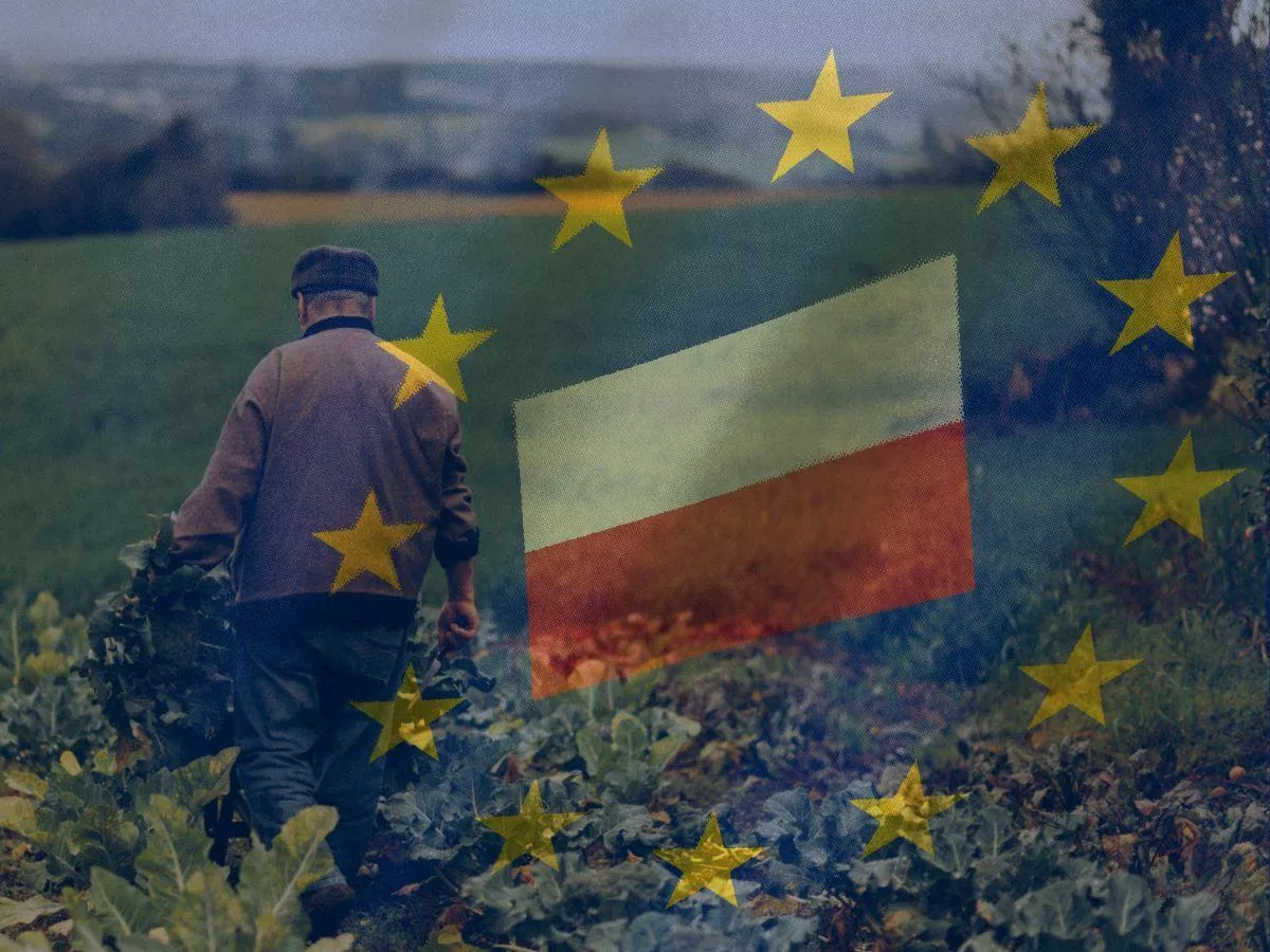 Z rolnictwa nie da się już wyżyć? Niepokojące wyniki sondażu wśród rolników