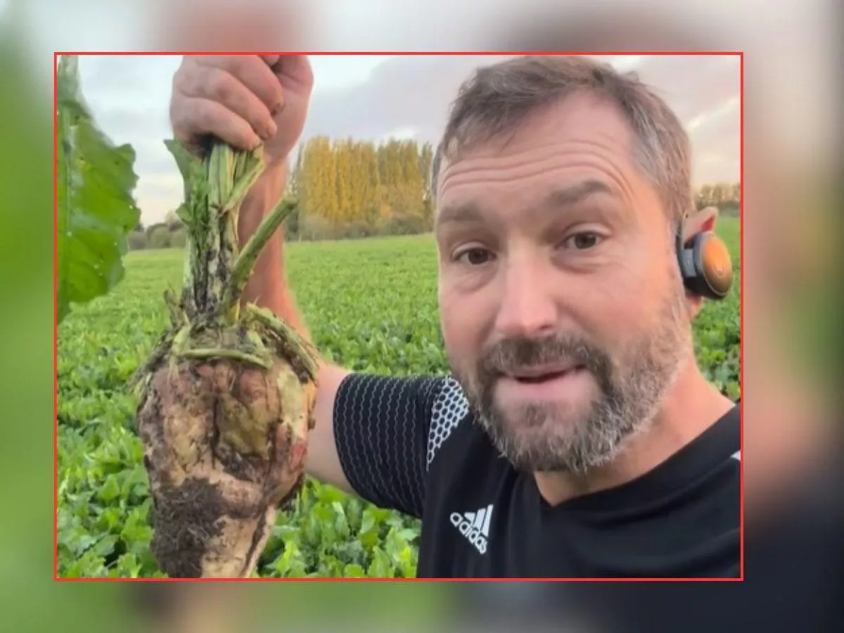 „Rząd już nas nie dotuje. Teraz robi to Facebook”. Rolnik rezygnuje z buraków cukrowych