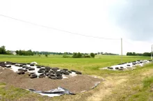 pryzma kiszonkowa dociążona oponami 