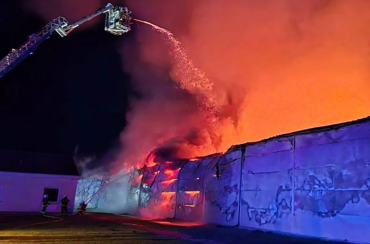 Tragedia na fermie drobiu w Fałkowicach. Ogień strawił setki tysięcy kur