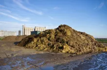 Płyta obornikowa, dopłaty 