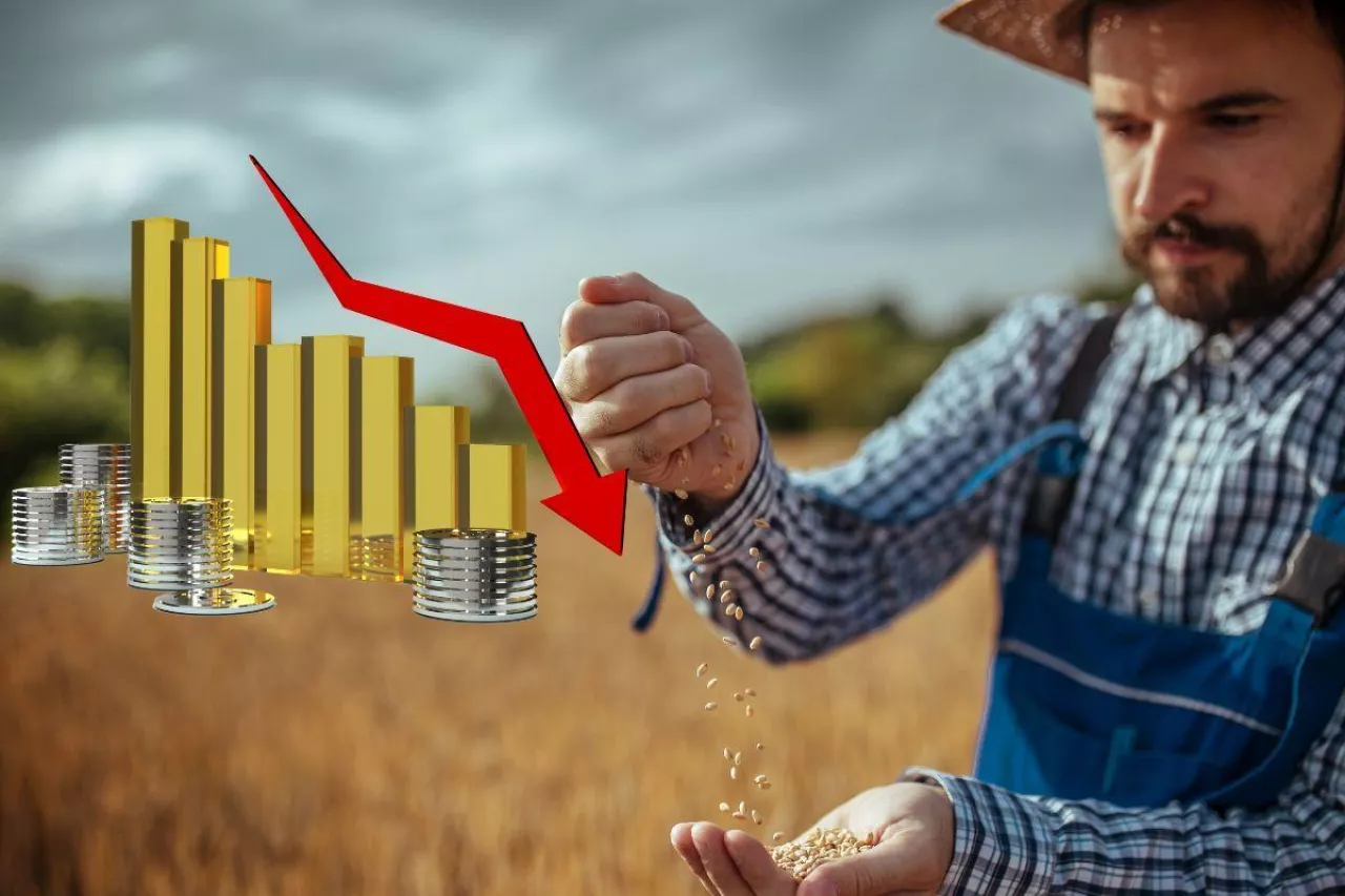 Ekspert wprost najgorsza sytuacja w rolnictwie od lat! Zboże tańsze o 45%, a maszyny droższe o 12%