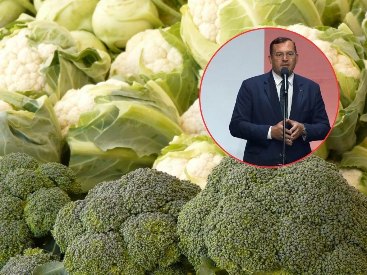 kalafior, brokuł, twarz ministra rolnictwa w kółku