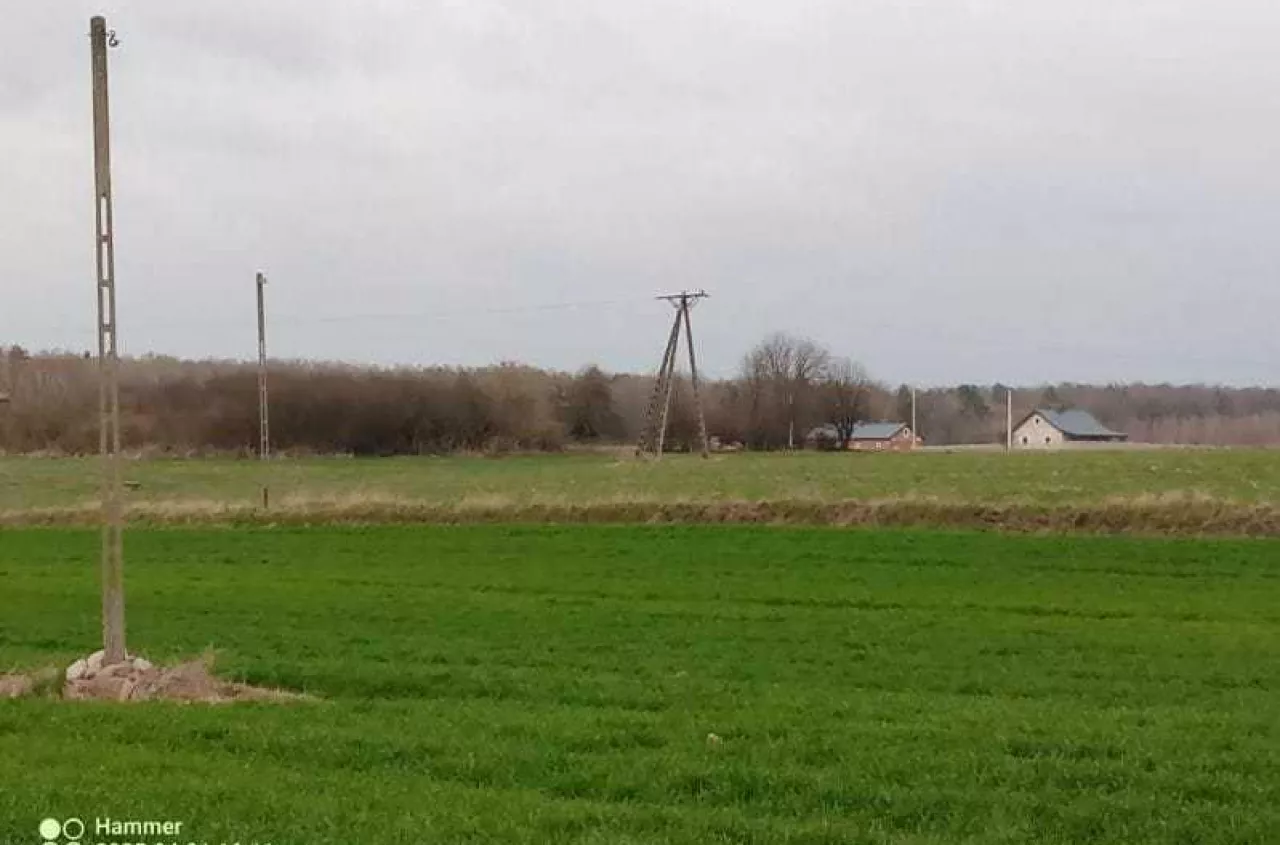 Przez twoją działkę idzie linia energetyczna? Sprawdź, ile możesz dostać