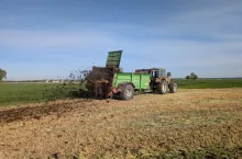 Ciągnik z rozrzutnikiem rozrzucający obornik