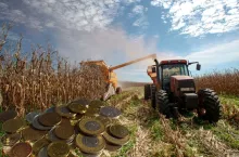 kukurydza, ciągnik