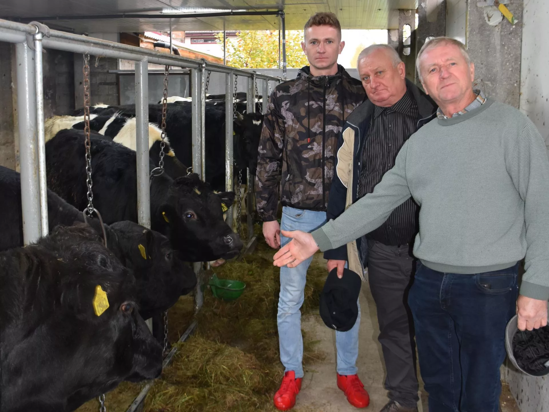 Mleko od HF-ów, wołowina z angusa. Rolnik łączy dwa kierunki i zarabia