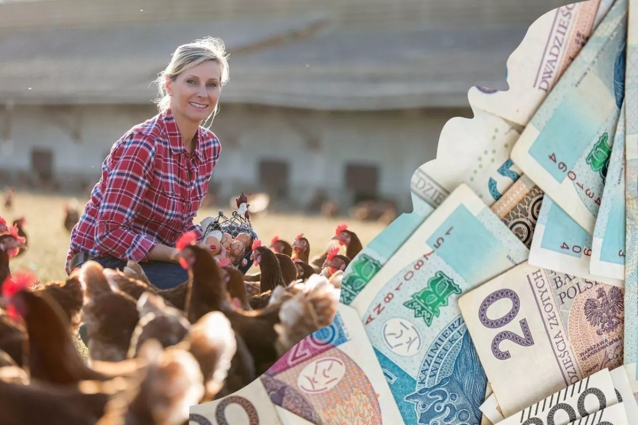 Rośnie składka na KRUS: ile rolnicy zapłacą od kwietnia 2024?