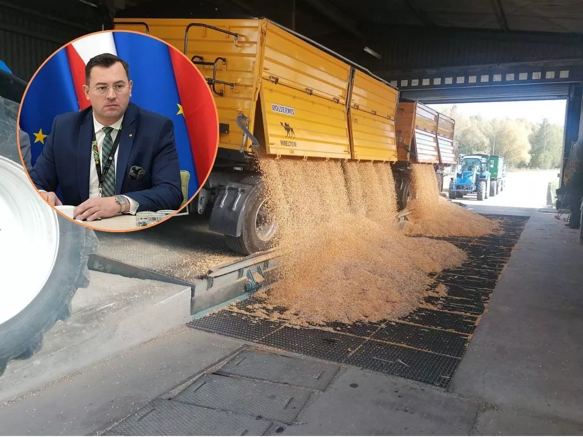 Dopłaty do zbóż? Minister: tylko w formule de minimis