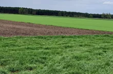 Komitet Monitorujący PS zatwierdził zmianę definicji TUZ. Co to znaczy dla rolników?