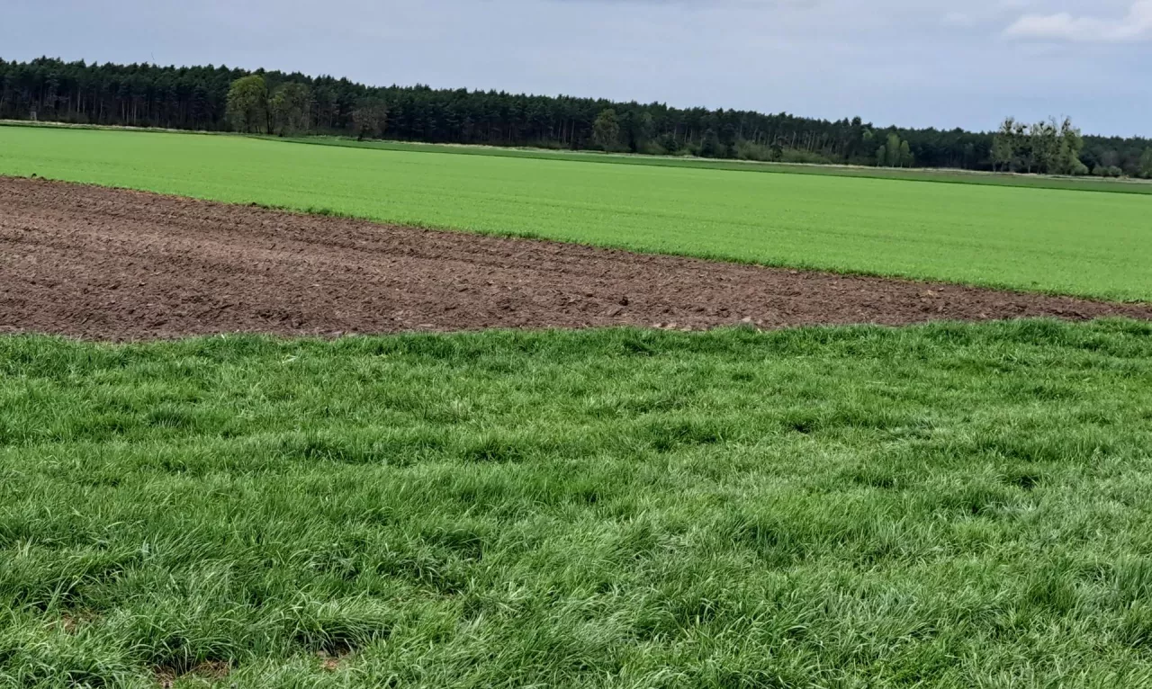 Komitet Monitorujący PS zatwierdził zmianę definicji TUZ. Co to znaczy dla rolników?