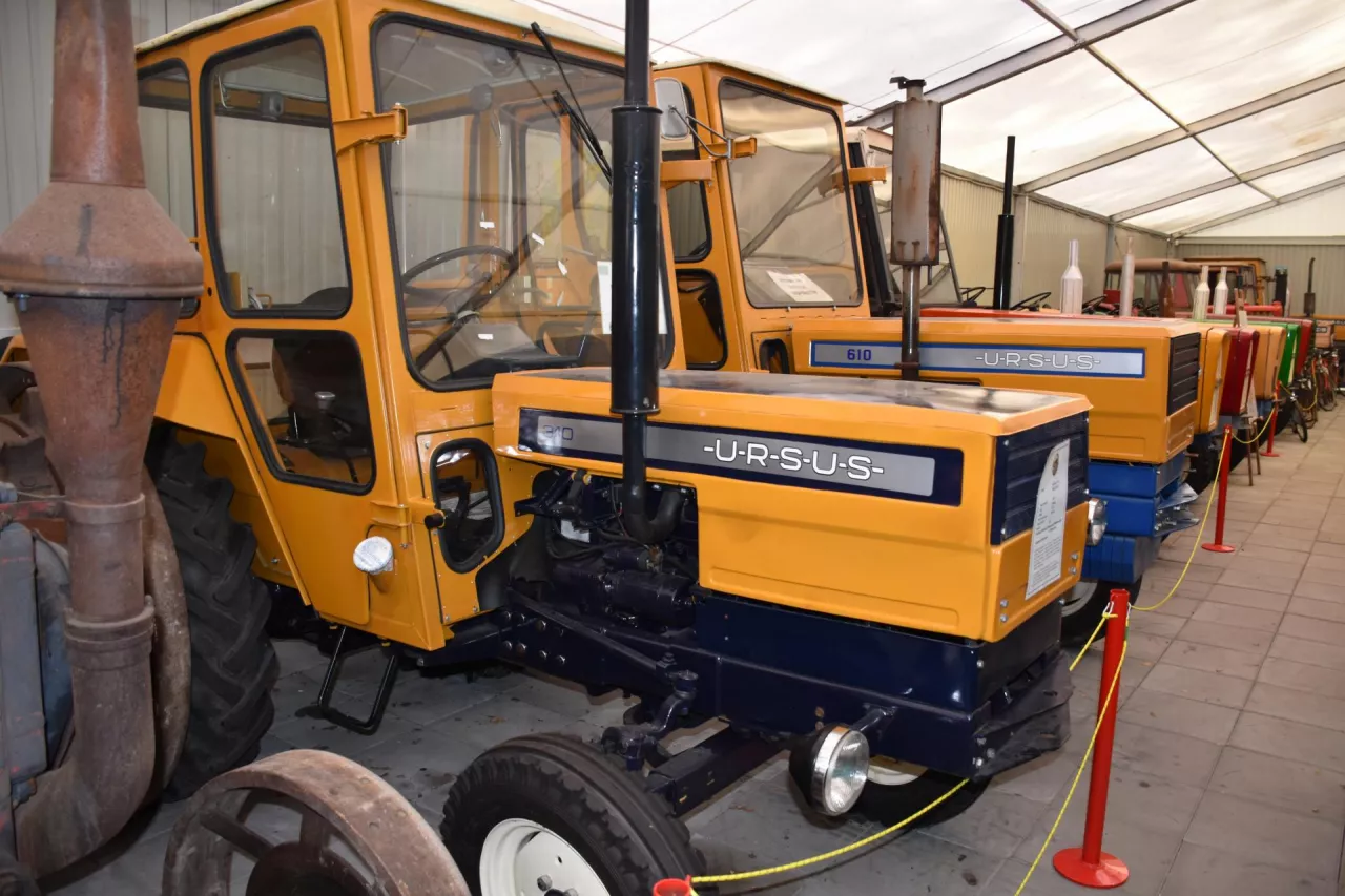 żółte ciągniki rolnicze Ursus z serii U