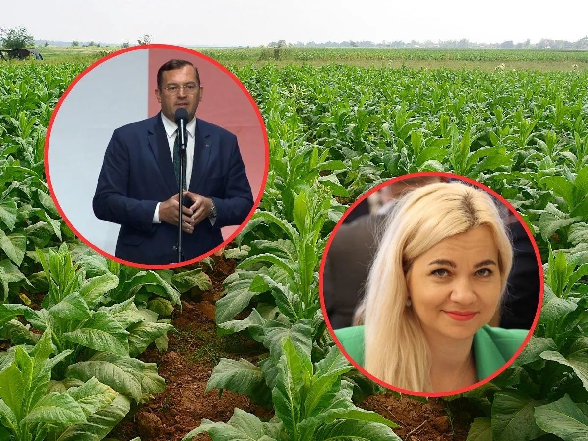 Gromadzka: Polska nie zgodzi się na likwidację upraw