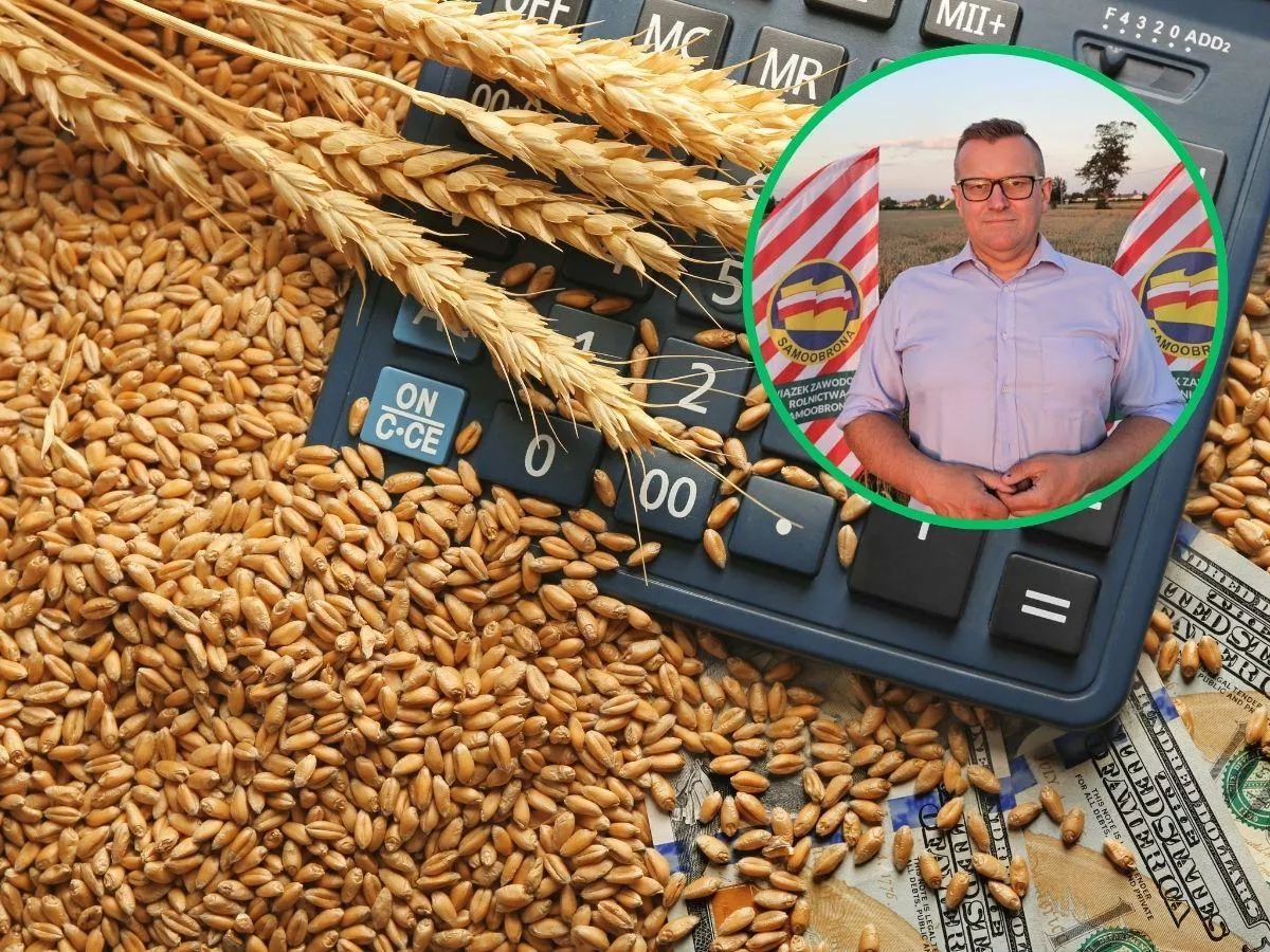 Zboże zostaje w kraju. "Rolnicy gotują się z towarem"