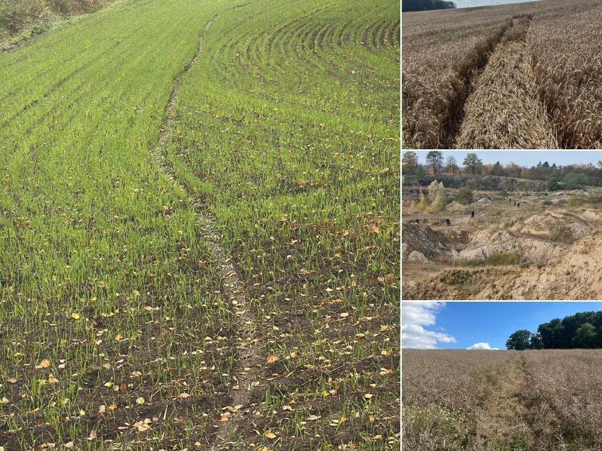 Dla wandali zabawa – dla rolników strata