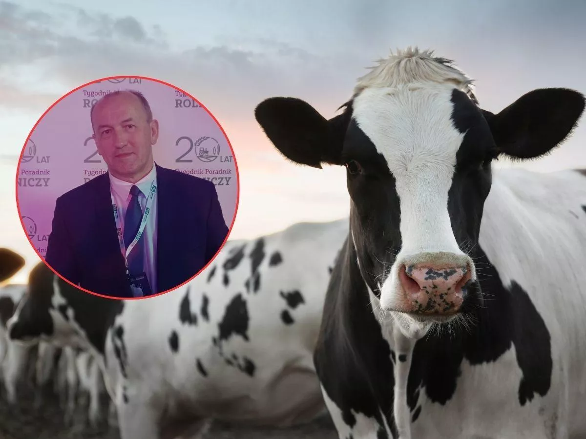 15 lat oceny genomowej w Polsce. Profesor Kamiński mówi, czy dało się to zrobić lepiej