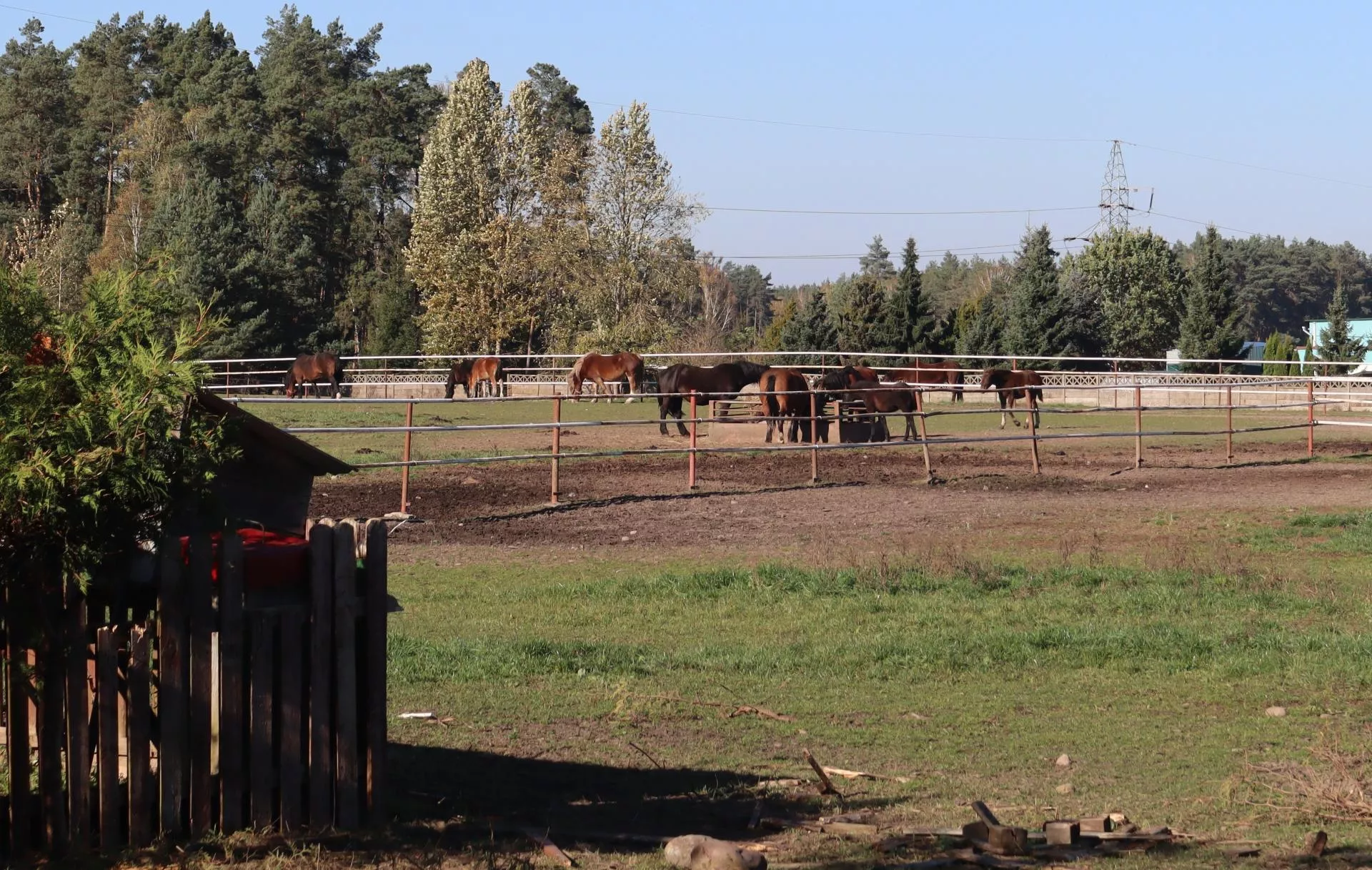 Zboża, konie i catering. Rolnicy z Wielkopolski pokazują, iż ekologia się opłaca