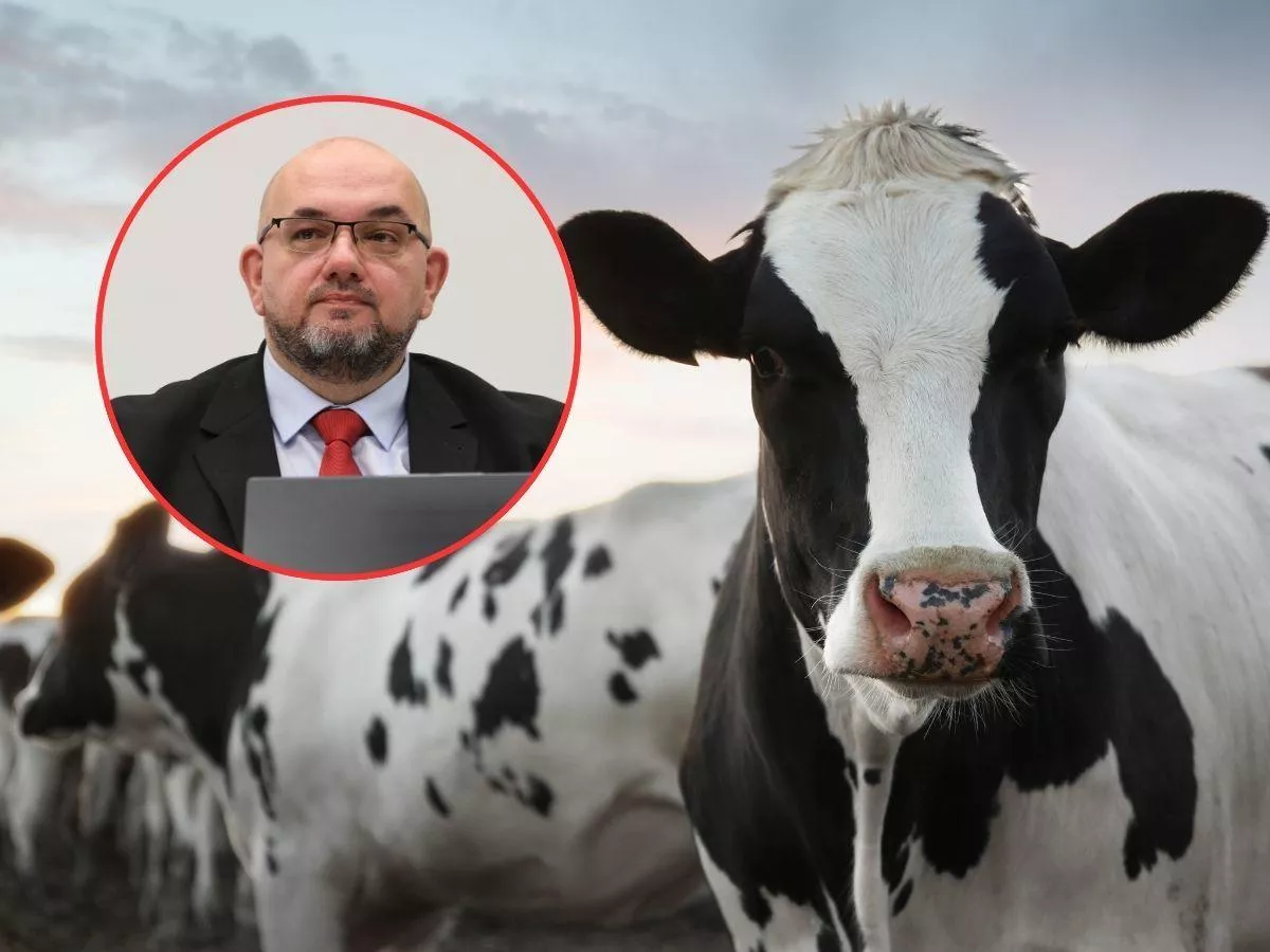 Nowa umowa z Ukrainą. Szansa dla polskiego mleka czy początek problemów?