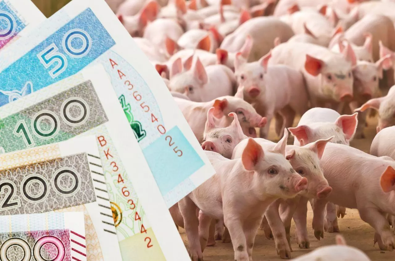 Gdzie są pieniądze na pożyczki dla rolników? "Wnioski leżą, wypłat brak"