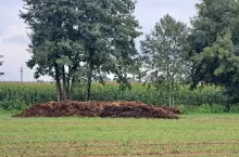 Powierzchnia miejsc do przechowywania nawozów naturalnych stałych powinna umożliwiać ich przechowanie przez minimum 5 miesięcy