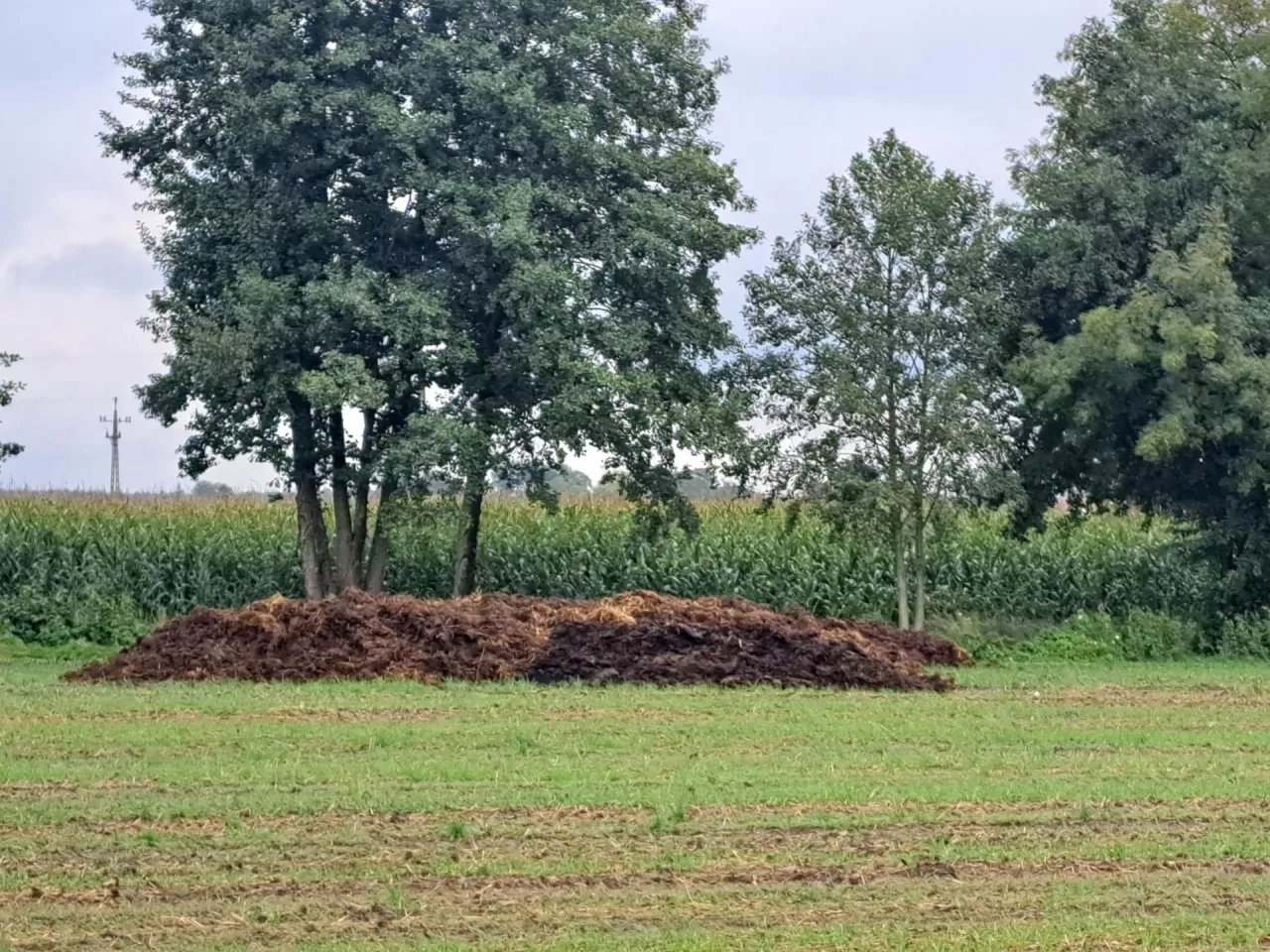 Powierzchnia miejsc do przechowywania nawozów naturalnych stałych powinna umożliwiać ich przechowanie przez minimum 5 miesięcy