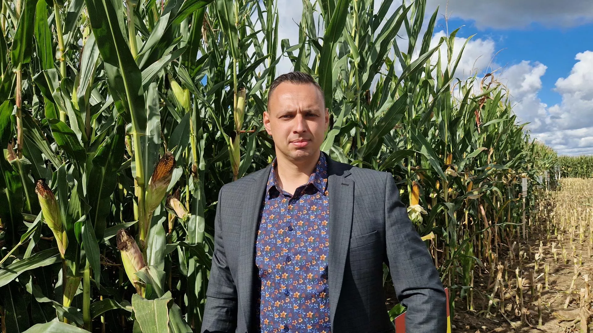 Sprawdzili 35 odmian kukurydzy. Które najlepiej poradziły sobie w trudnych warunkach?