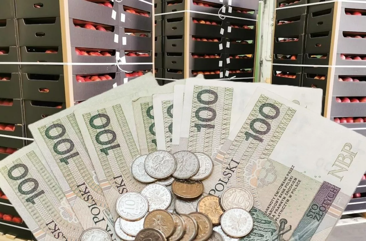 ARiMR kończy nabory. Zobacz, na co możesz dostać 100 tys., 200 tys. albo choćby 1,5 mln zł