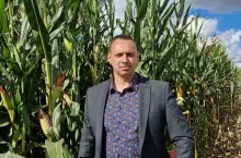 agronom na tle plantacji kukurydzy