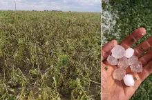 Rolnicy tracą pomoc przez 0,01 proc. strat. Będzie zmiana zasad?